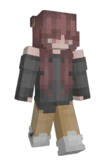 airdnis Minecraft avatar full body