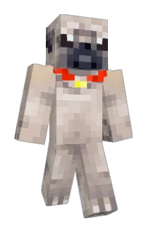 airyyyyy Minecraft avatar full body