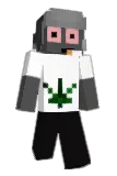 aishi99 Minecraft avatar full body