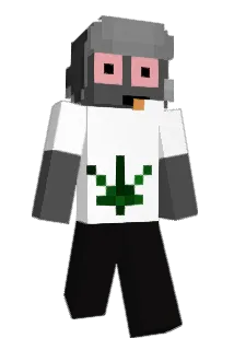aishi99 Minecraft avatar full body