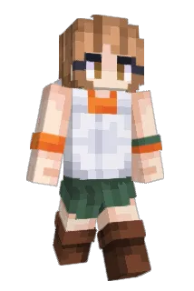 aisleypaisley Minecraft avatar full body