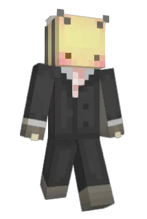 aislynnbee Minecraft avatar full body