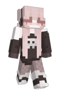 aitne8002 Minecraft avatar full body
