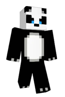 ajclon Minecraft avatar full body