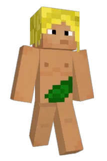ajuvmb Minecraft avatar full body