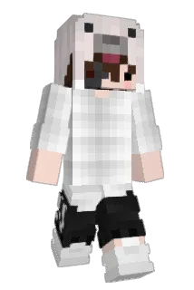 akaLeveii Minecraft avatar full body