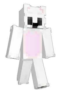 akell5544 Minecraft avatar full body