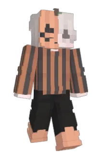 aketaa Minecraft avatar full body