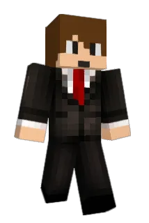akfan134 Minecraft avatar full body
