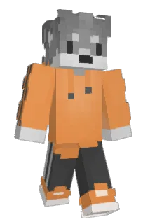 akiiropenguin Minecraft avatar full body