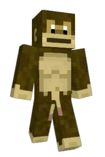 akkamkam Minecraft avatar full body