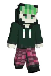 akkimapig Minecraft avatar full body