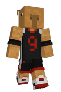akle7 Minecraft avatar full body