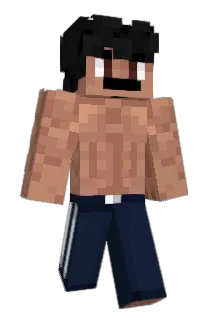 akmd Minecraft avatar full body
