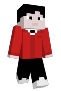 akmpc9 Minecraft avatar full body