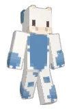 akoch8706 Minecraft avatar full body