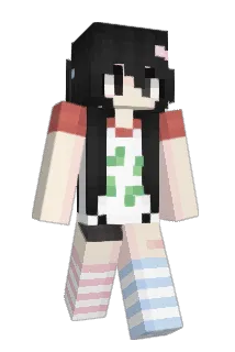 akoq Minecraft avatar full body