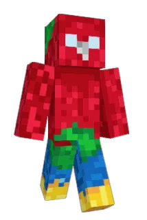 akporto Minecraft avatar full body