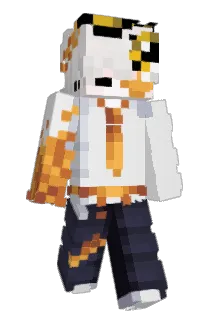 akupunk Minecraft avatar full body