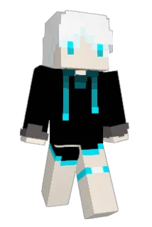 akwj125 Minecraft avatar full body