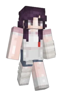 al008 Minecraft avatar full body