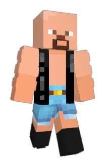 alcho__ Minecraft avatar full body