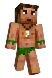 alecraft2014 Minecraft avatar full body