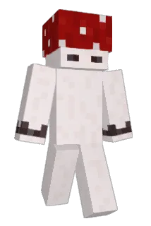 alexgryy Minecraft avatar full body