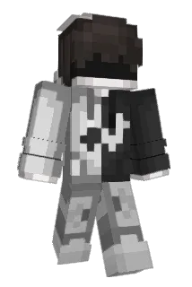 ali255z Minecraft avatar full body