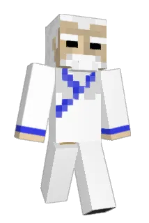 allenwang6212 Minecraft avatar full body