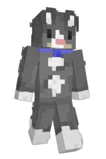 allhailsadcat Minecraft avatar full body