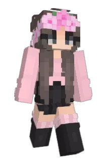 alliebee023 Minecraft avatar full body