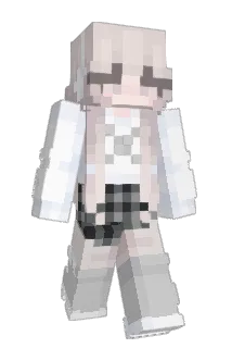 allied_duos Minecraft avatar full body
