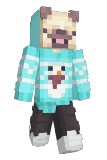 alliesnoopy Minecraft avatar full body