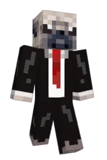 allstartj1 Minecraft avatar full body