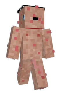 alsobjzStephan Minecraft avatar full body
