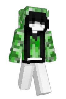 alswl04 Minecraft avatar full body