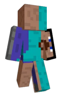 altdsrobin Minecraft avatar full body
