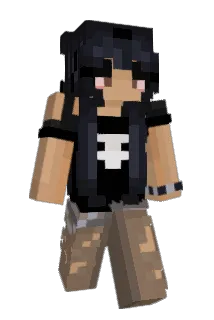 altoidbar Minecraft avatar full body