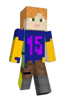 am6612 Minecraft avatar full body