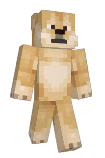 aman11ANK Minecraft avatar full body