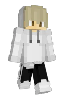 amgamer360 Minecraft avatar full body