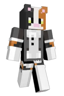 amim1r Minecraft avatar full body