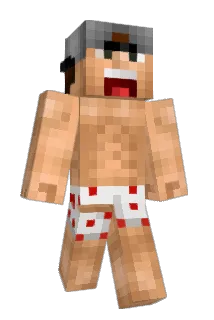 aminam50 Minecraft avatar full body