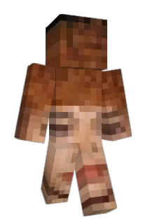 aminic Minecraft avatar full body