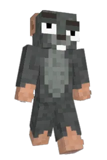 amir8988_ali Minecraft avatar full body