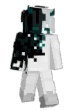 amir__9999 Minecraft avatar full body