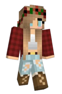 aml2102 Minecraft avatar full body