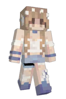 amoiderer Minecraft avatar full body