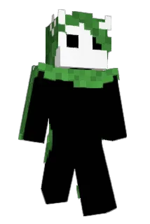 amoomew Minecraft avatar full body